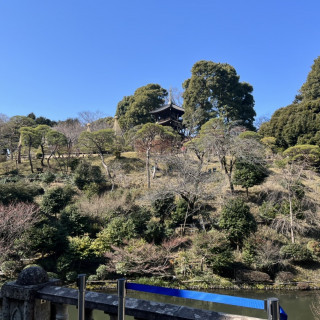 広々とした庭園