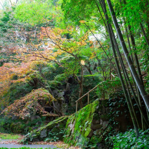 紅葉のお庭|615078さんのハイアット リージェンシー 京都の写真(1967275)