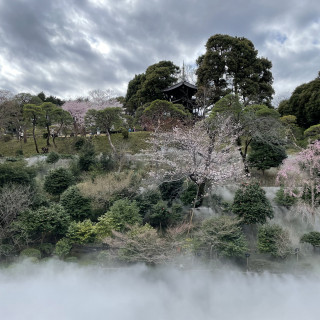 雲海のショーが行われていました