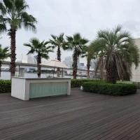 南国感のあるところです