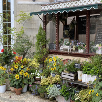 中庭の花屋さん