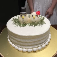 オーダーメイドで鳥さんを乗せてもらいました。