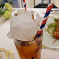 氷がイルカでした！