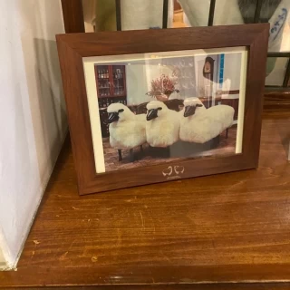 可愛い羊がいる。