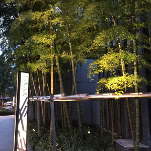 レストラン脇の竹の植え込み|615969さんのラ・ロシェル山王の写真(1450538)