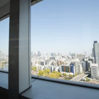 綺麗な景色