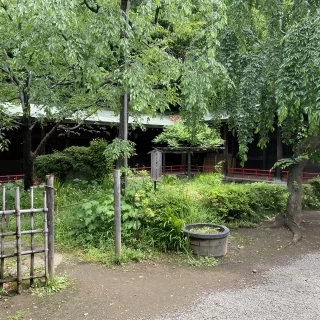 緑が多いです