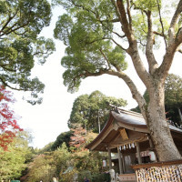 神社