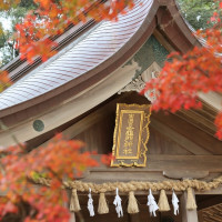 神社