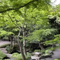 緑たっぷりで自然に囲まれています