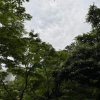 緑がたくさんで綺麗です
