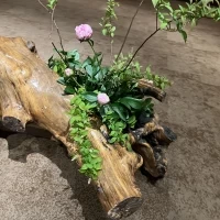 ロビーのお花は来るたびに違います