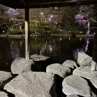 お庭でも当日写真撮影をします