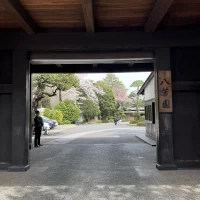 入り口での写真撮影も人気です
