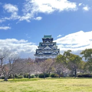 大阪城が真正面から眺められた。
なかなか見られない光景。