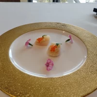 前菜の試食