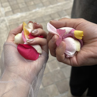 フラワーシャワーができました。