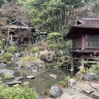 本格的な日本庭園もあり。