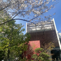 1年前見学に行った時桜が満開でした！