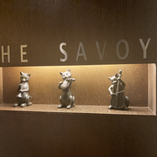 SAVOY前の猫ちゃんたち