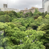 都内とは思えないほど壮大な日本庭園