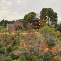 渡り廊下から見える庭の景色