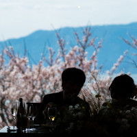 桜の観れる披露宴会場です。