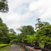 庭園、盆栽
