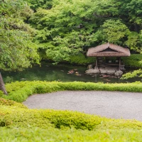 庭園