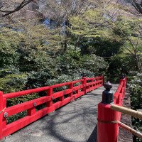 庭園内にある赤い橋