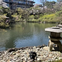 庭園の池