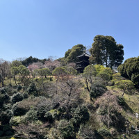 森のような庭園