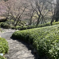 庭園