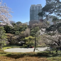 庭園