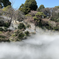 自然溢れる空間