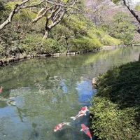 庭園
