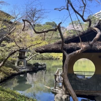 庭園