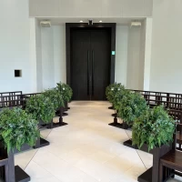 緑の見える会場