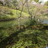 庭園