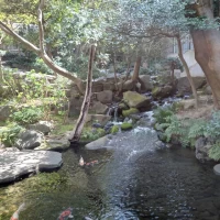 庭園