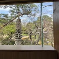 窓から見える庭園