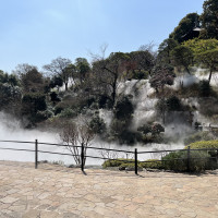 雲海が見える風景