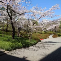 庭園