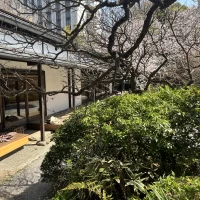 庭園