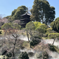 三重塔が見える風景