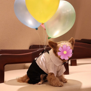 リングドックで活躍してくれた犬|617789さんの小さな結婚式 横浜店の写真(1457953)
