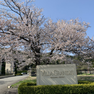 式場の駐車場の入り口です。春は大きな桜がとても綺麗です。