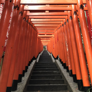 フォトスポットで、白無垢が映えると思います。|617985さんの日枝神社の写真(1459277)