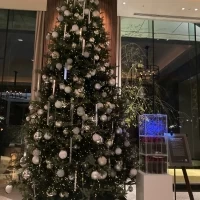クリスマスツリー