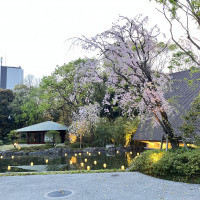 日本庭園まであり、色んな景色を楽しめます